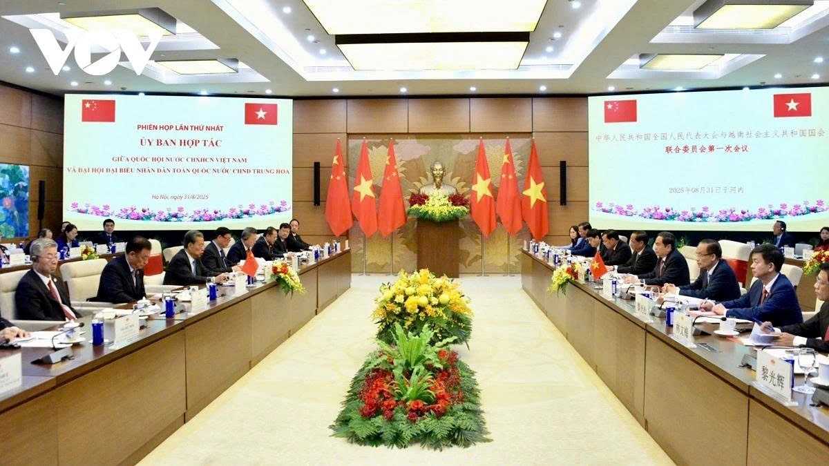 The two top legislators discuss measures to strengthen cooperative relations between the two countries and their legislative bodies