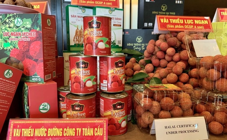 Vietnam’s canned lychee products are Halal-certified to deepen their penetration into the Muslim market, including Indonesia