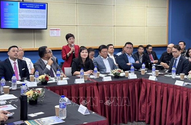 Vietnamese business representatives exchange views at the roundtable (Photo:VNA)