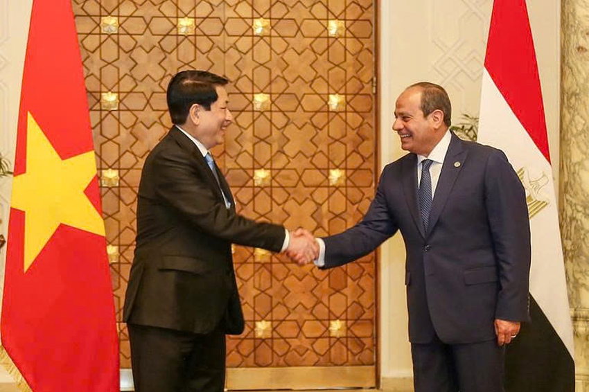 Egyptian President Abdel Fattah El-Sisi (R) and his visiting Vietnamese counterpart Luong Cuong shake hands ahead of their talks in Cairo on August 5
