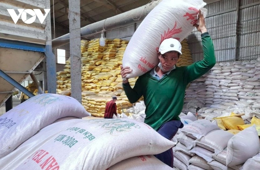 Vietnam outperforms Thailand to become world's second largest rice exporter