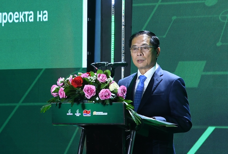  Deputy Prime Minister Bui Thanh Son speaks at the ceremony (Photo: baochinhphu.vn)