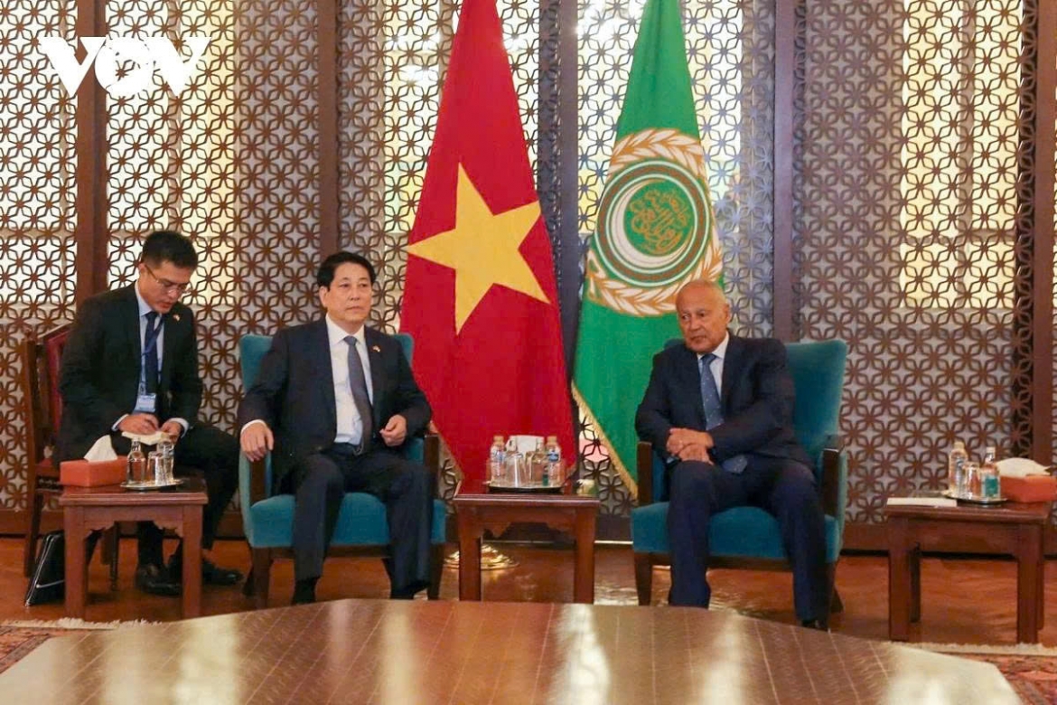 Vietnamese President Luong Cuong (L) and Arab League Secretary-General Ahmed Aboul Gheit during their meeting in Cairo, Egypt, on August 4, 2025