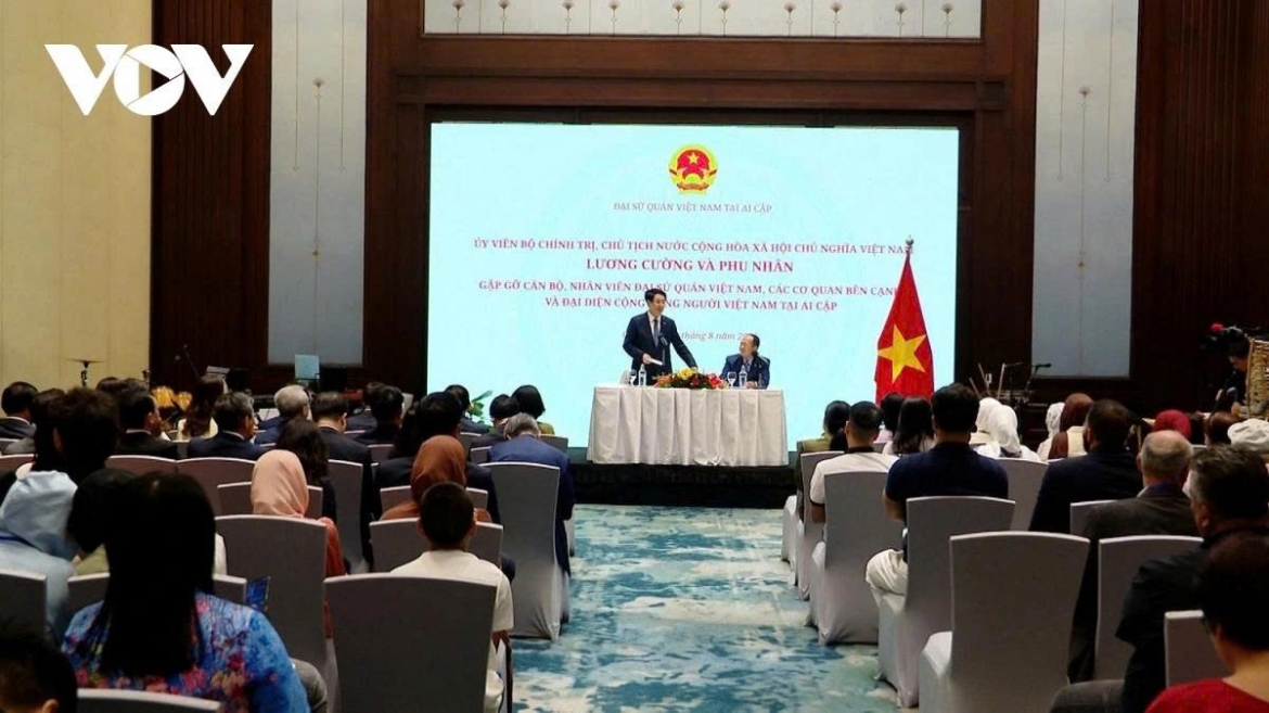 President Luong Cuong speaks during his meeting with Vietnamese expatriates in Cairo, Egypt, on August 4