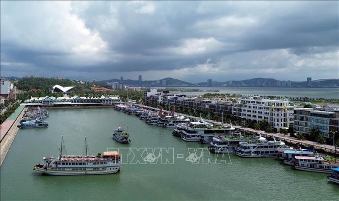 The Ha Long cruise fleet at Tuan Chau International Passenger Port.