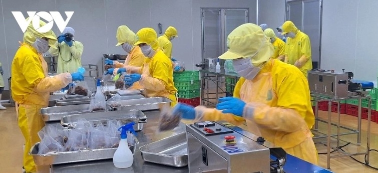 The private sector accounts for 82.07% of total employment in the national economy