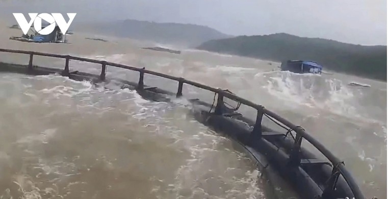 Typhoon Kajiki brings heavy rain