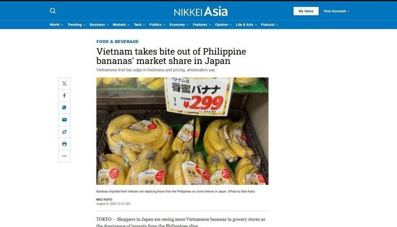 Nikkei Asia reports that Vietnamese bananas are becoming more popular in grocery stores of Japan. (Screenshot photo: VNA)