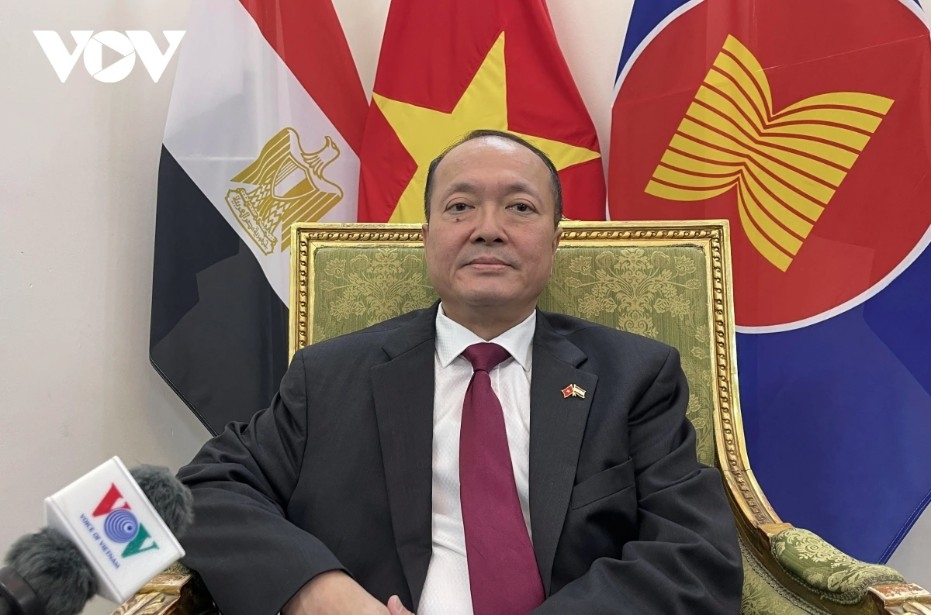 Vietnamese Ambassador to Egypt Nguyen Huy Dung (Photo: VOV/Cairo)
