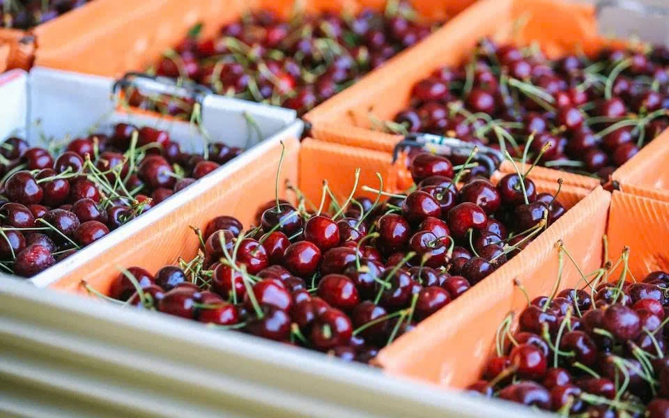 Cherries imported from the United States hit the shelf of many supermarkets nationwide. (Photo:kinhtedothi.vn)