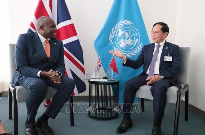Deputy Prime Minister Bui Thanh Son meets UK Deputy Prime Minister and Justice Secretary David Lammy (Photo:VNA)