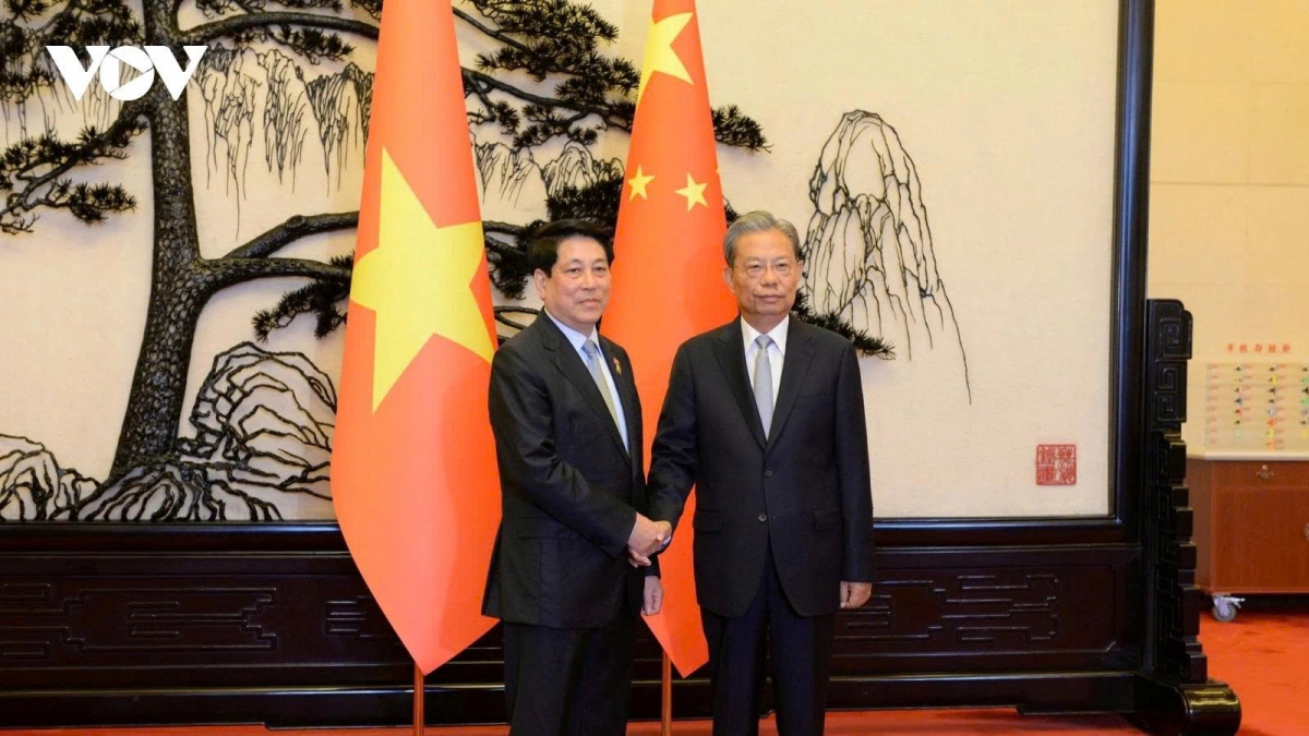 Vietnamese President Luong Cuong (L) and Chairman of the Standing committee of the National People’s Congress of China Zhao Leji, during their meeting in Beijing on September 4