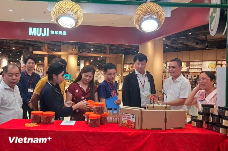 Delegates visit booths at 2025 Agricultural and OCOP Trade Fair (Photo: VNA)