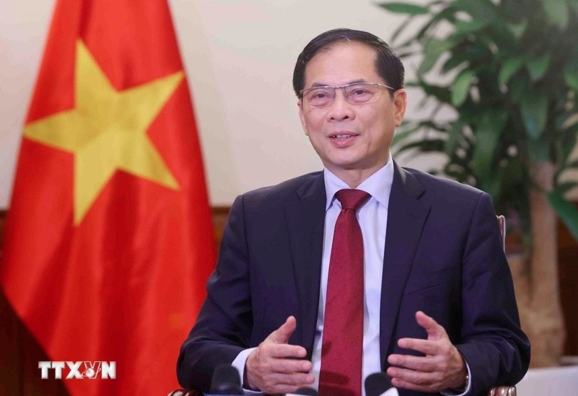 Deputy Prime Minister Bui Thanh Son (Photo: VNA)