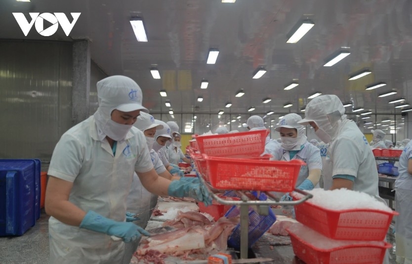 Tra fish exports expected to top US$2 billion this year