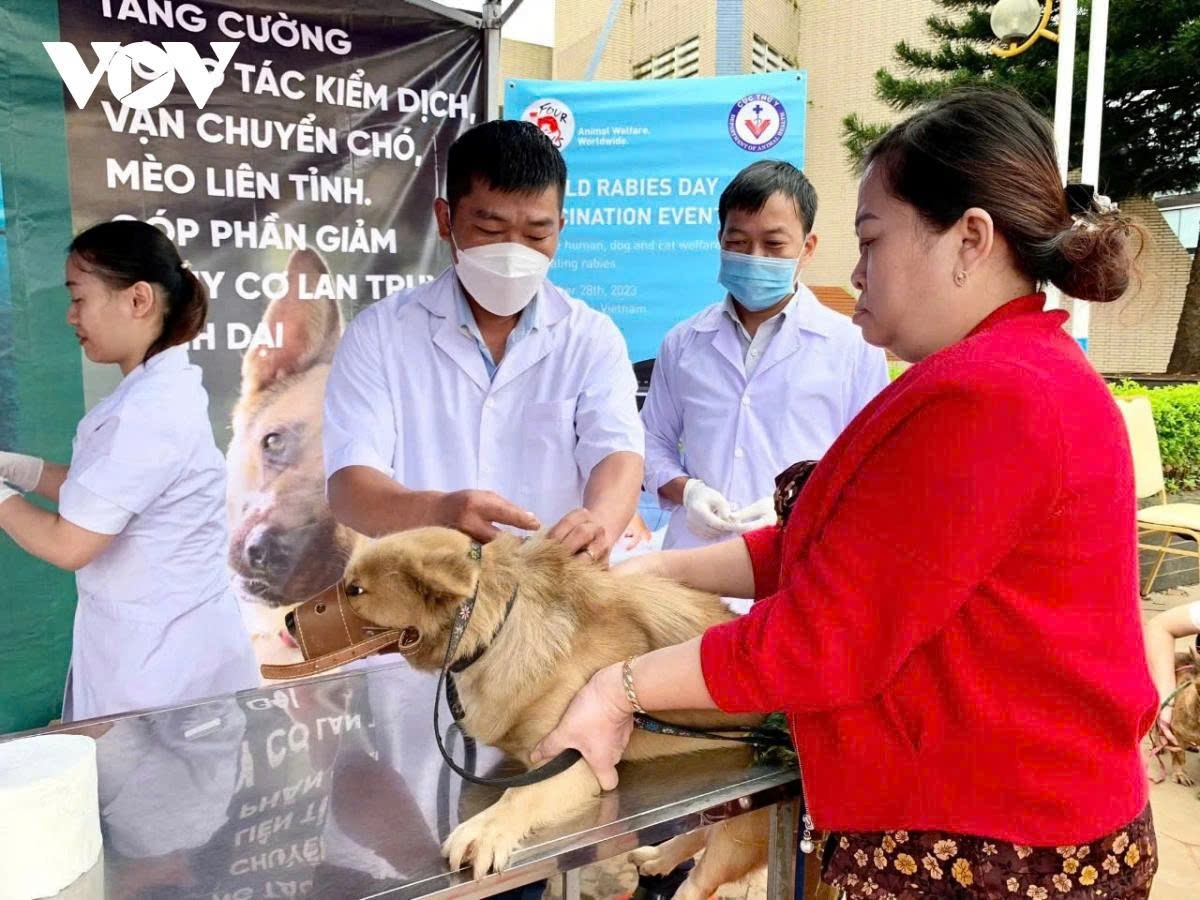 Vaccinating pets is a key measure to reduce the risk of rabies transmission to humans