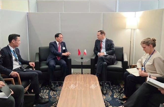 Deputy PM Bui Thanh Son at the meeting with Polish Deputy PM and Foreign Minister Radoslaw Sikorski