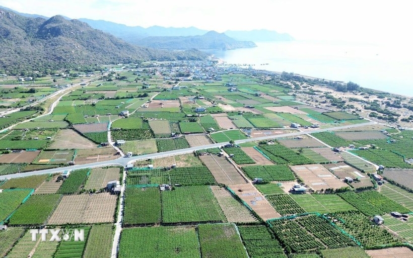 A view of the Ninh Thuan 2 nuclear power project site
