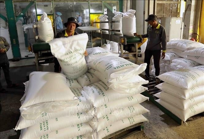 Rice exports of Vinh Phat Co., Ltd. in An Giang province. (Photo: VNA)