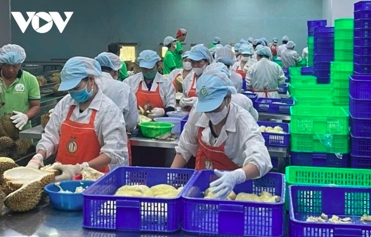 The rebound in fruit and vegetable exports is attributed to increased durian shipments