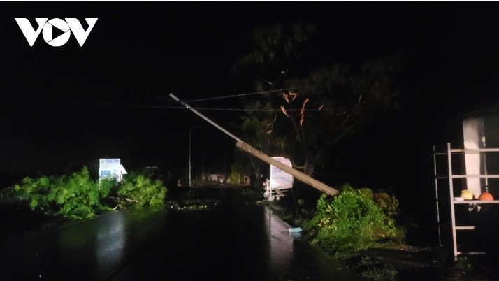 Trees lie broken and scattered