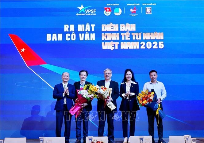The Advisory Board of the Vietnam Private Sector Economic Forum 2025 (Photo: VNA)