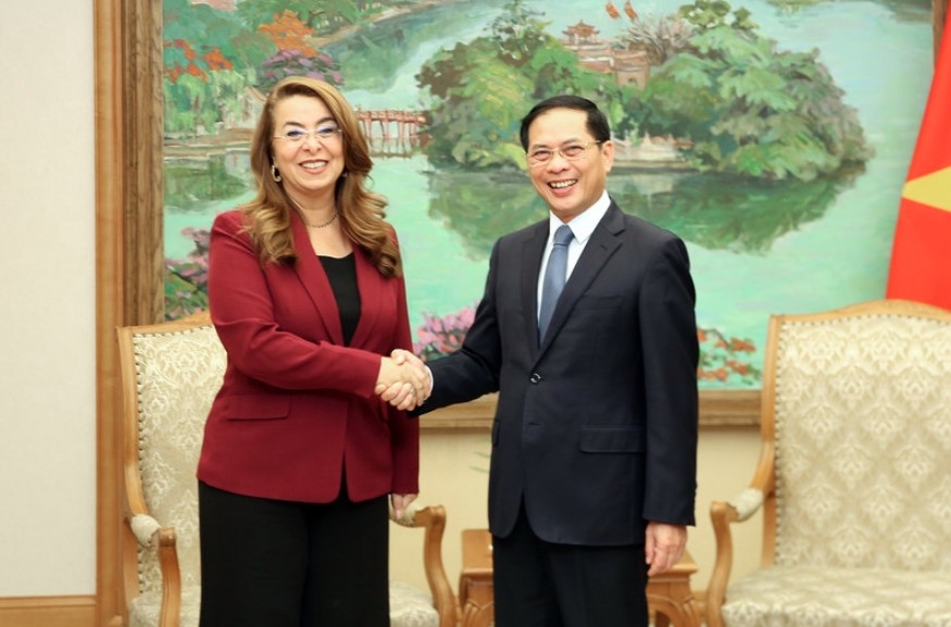Deputy Prime Minister Bui Thanh Son (R) and Ghada Waly, UN Under-Secretary-General and Director-General, in Hanoi on October 21. (Photo: baochinhphu.vn)