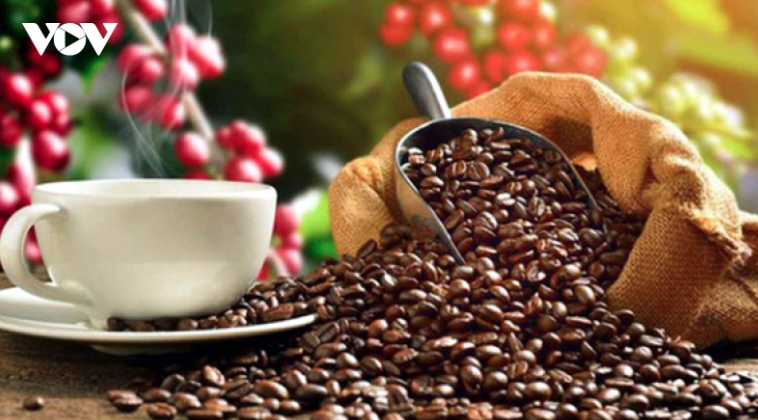 Coffee leads key farm produce with impressive growth in export earnings
