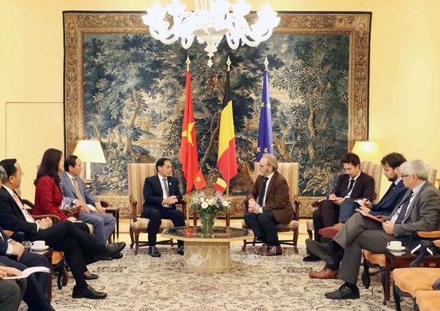 Deputy Prime Minister Bui Thanh Son (fifth, left) meets with President of the Belgian House of Representatives Peter De Roover (fourth, right) on October 10. (Photo: VNA)