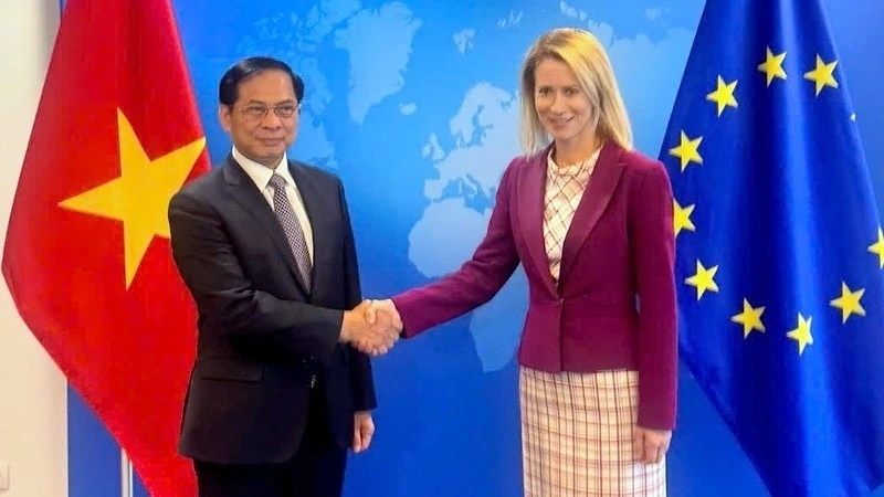 Vietnamese Deputy Prime Minister Bui Thanh Son (L) and EC Vice President and EU High Representative for Foreign Affairs and Security Policy Kaja Kallas during their meeting in Brussels, Belgium, on the sidelines of the second Global Gateway Forum, on October 9. (Photo: MOFA)