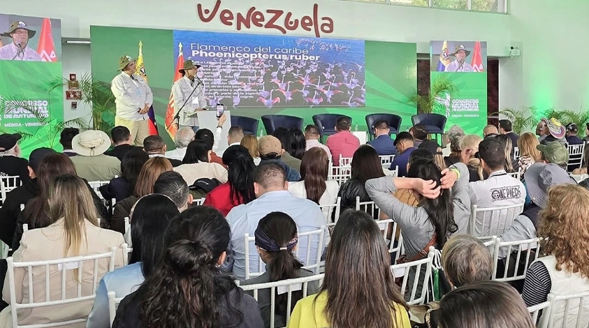 Participants at the congress 