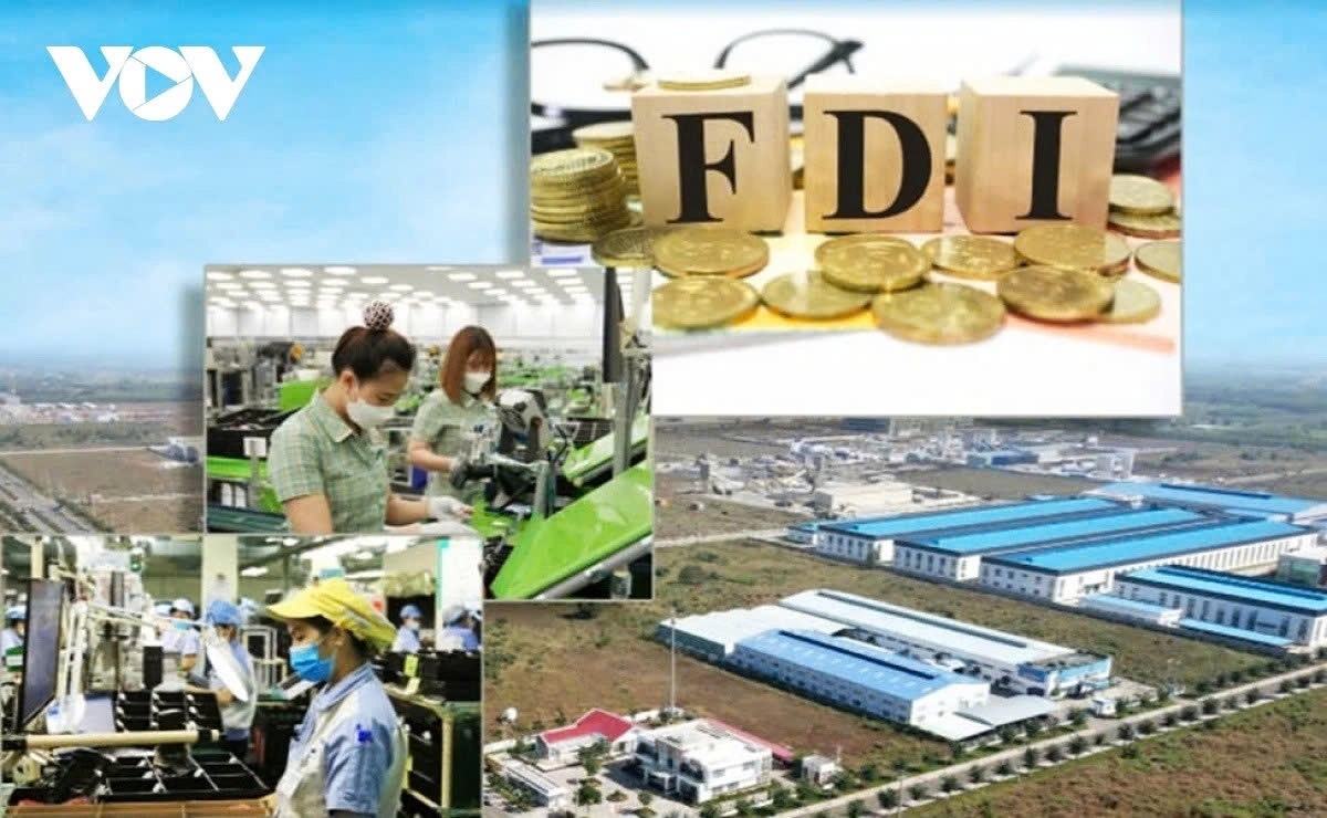 FDI contributes only about 20% to Vietnam's GDP and generates around 10% of domestic employment, yet accounts for more than 71% of the country's total export turnover