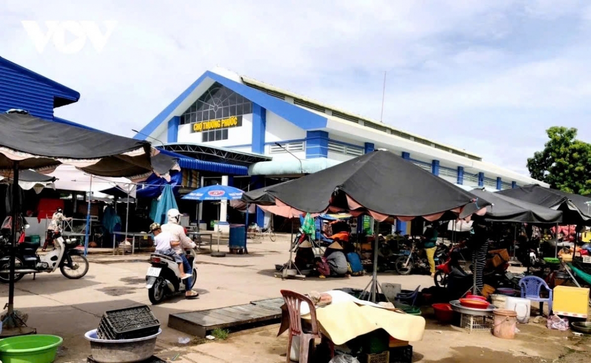 Fishes are then carried to Thuong Phuoc border market for trading.