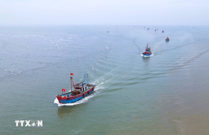 The offshore fishing fleet of the Ngoc Bich commune Fisheries Cooperative (Nghe An province) on its way to the river mouth.