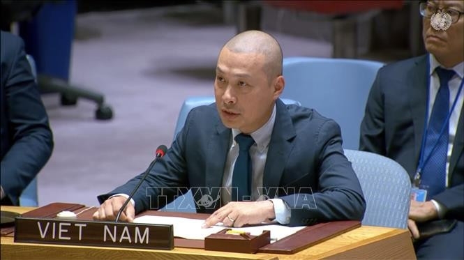 Minister Counsellor Nguyen Hoang Nguyen, Chargé d’Affaires at the Vietnamese Delegation to the United Nations (Photo: VNA)