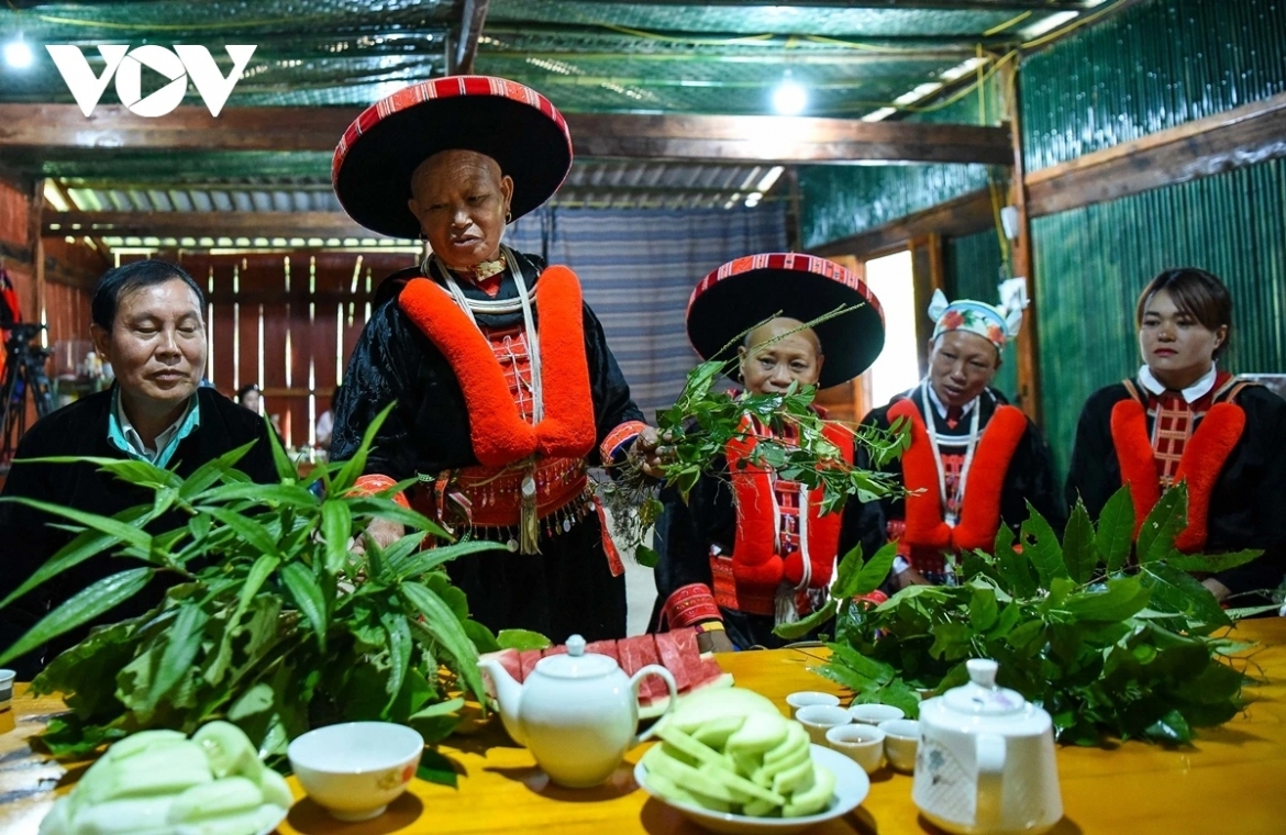 The Red Dao ethnic people are encouraged to preserve and develop traditional medicinal remedies to raise their income