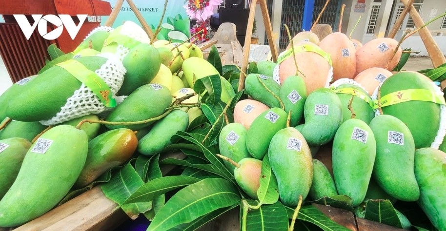  Vietnam emerges as the fourth-largest supplier of fruit and vegetables to Taiwan (China)