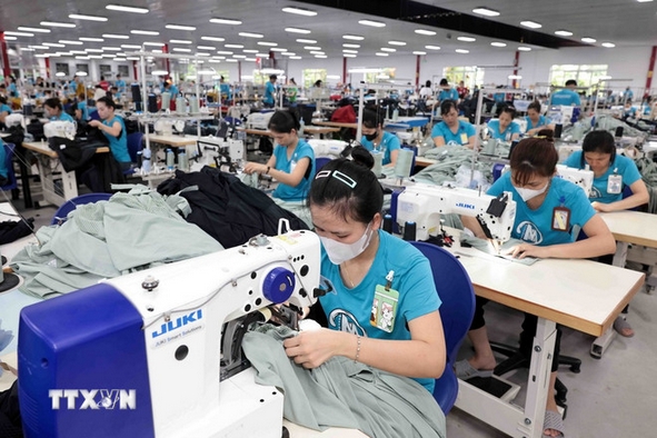 Vietnam mainly exports coffee, cashew nuts, peppercorns, seafood, chemicals, footwear, garments, and steel to Algeria. (Photo: VNA)