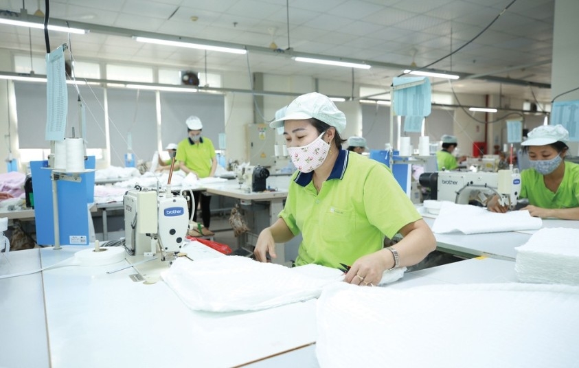 EU due diligence prompts proactive action from Vietnamese firms
