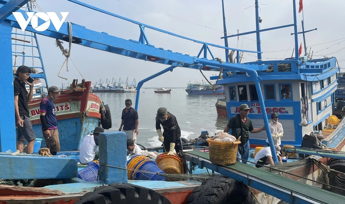 Anti-IUU efforts: Catches will be inspected by the competent authorities upon arrival ashore