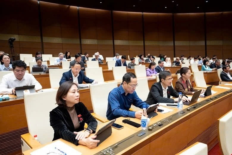 Deputies at the year-end session of the National Assembly in Hanoi on November 13