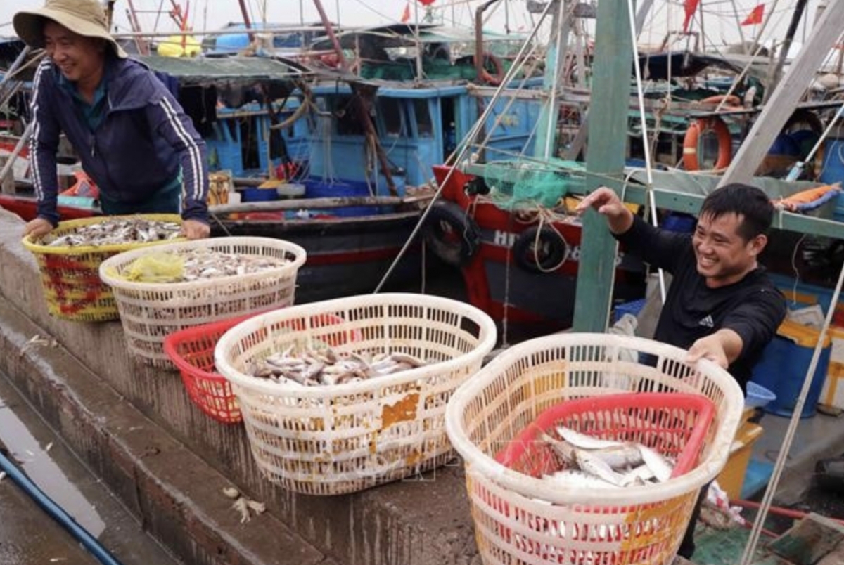 Ngoc Hai fishing port in Hai Phong city (Photo: VNA)