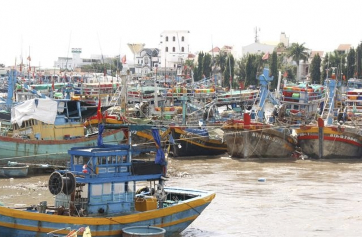 Border guard forces in the Mekong Delta province of An Giang enhance inspections on vessel departures and arrivals, focusing on high-risk cases. (Photo: VNA)