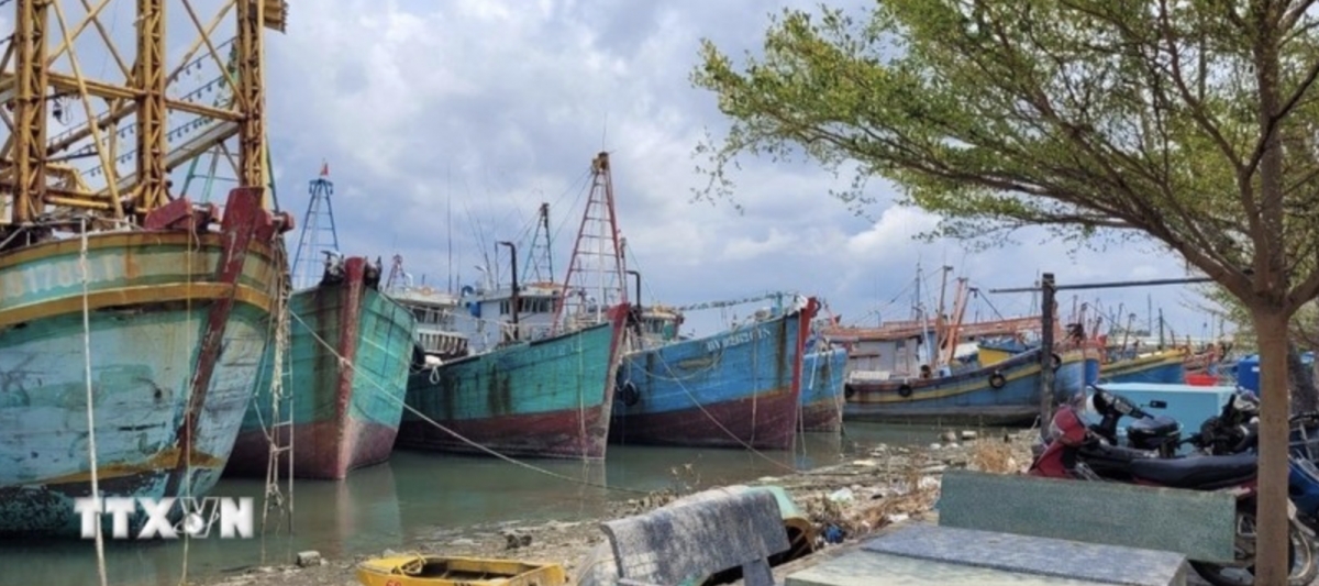A number of trawlers in Long Hai commune, Ho Chi Minh City, are forced to stay idle after suffering losses. (Photo: VNA)