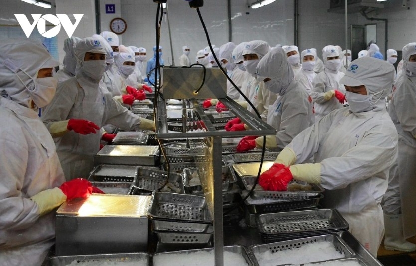 Aquatic exports are projected to fall sharply in Q4 amid US tariff imposition