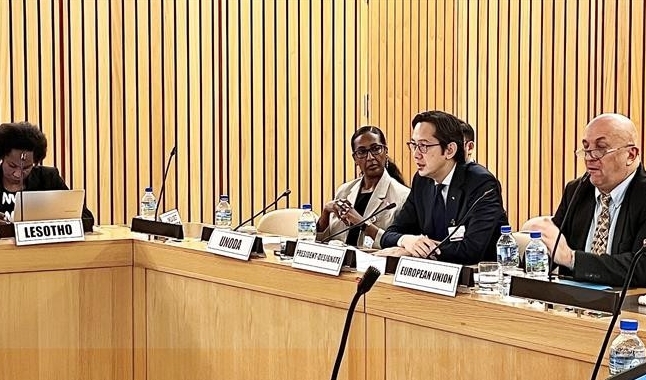 Ambassador Do Hung Viet (second from right), Permanent Representative of Vietnam to the United Nations and President-designate of the 11th Review Conference (RevCon11) of the Treaty on the Non-Proliferation of Nuclear Weapons (NPT), speaks at the African Regional Consultation. (Photo: VNA)