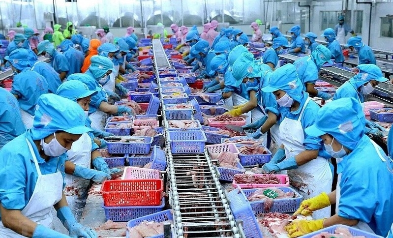 Vietnam’s pangasius sees strong potential to expand its footprint in the EU market
(Photo: congthuong.vn)