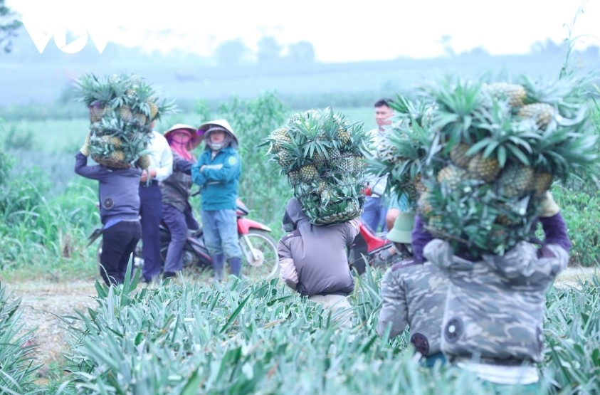 Key agricultural products hold the highest proportion of exports