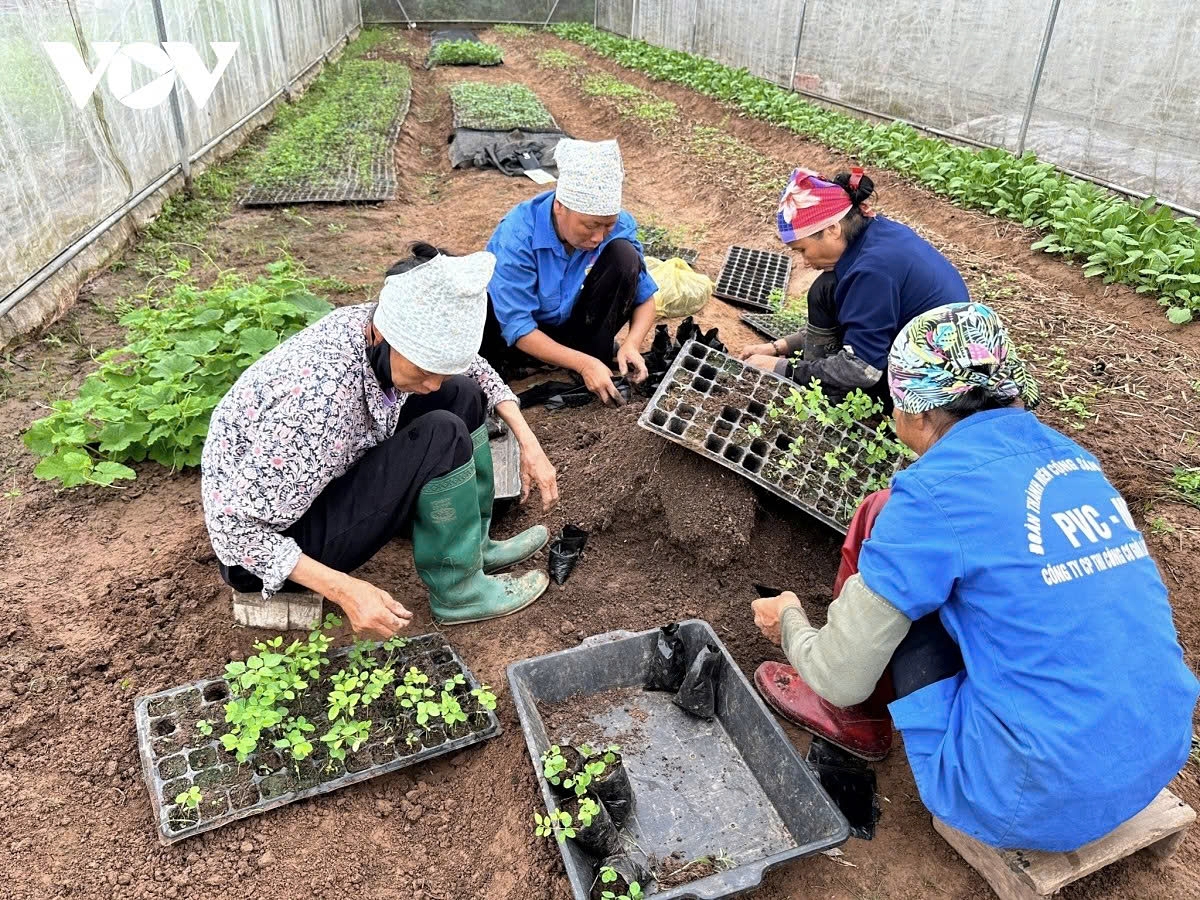 Policies for developing a circular agriculture should place farmers at the centre