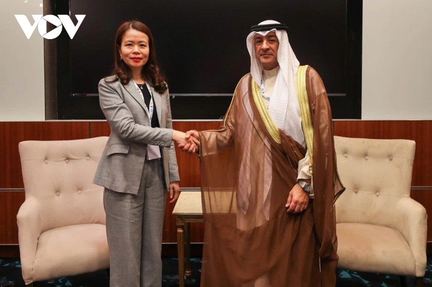 Deputy FM Nguyen Minh Hang and Minister of State for Foreign Trade Affairs of Qatar Ahmed bin Mohammed Al-Sayed